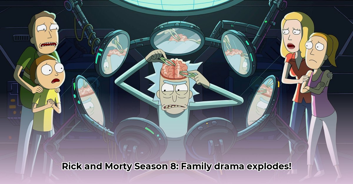 rick-and-morty-season-8-streaming